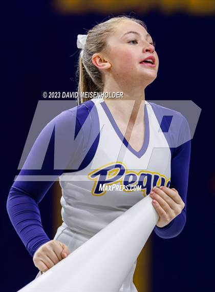 Thumbnail 1 in Nassau County Gameday Cheer Class A Final (Hofstra University) photogallery.