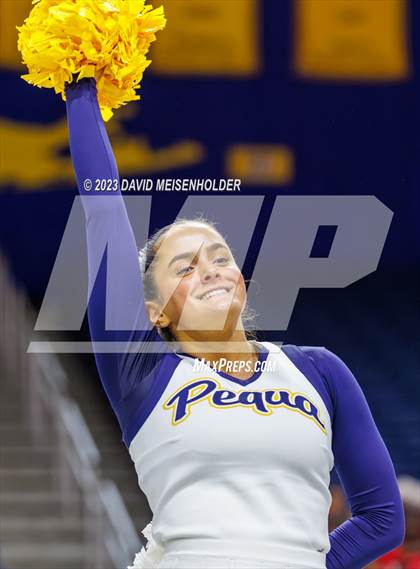 Thumbnail 1 in Nassau County Gameday Cheer Class A Final (Hofstra University) photogallery.