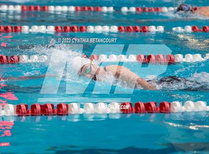 Thumbnail 3 in REX Coaches Invite photogallery.