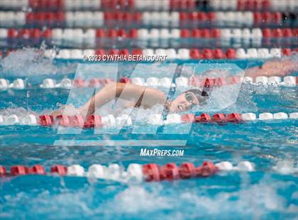 Thumbnail 3 in REX Coaches Invite photogallery.