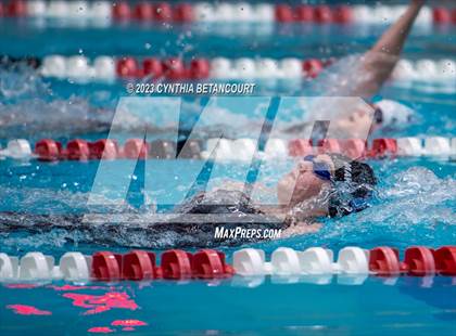 Thumbnail 3 in REX Coaches Invite photogallery.