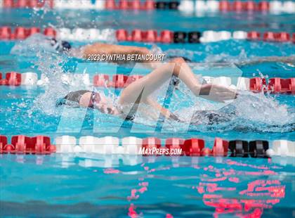 Thumbnail 3 in REX Coaches Invite photogallery.