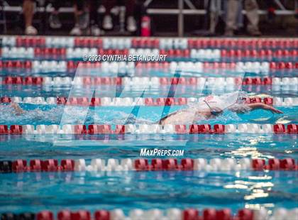Thumbnail 3 in REX Coaches Invite photogallery.