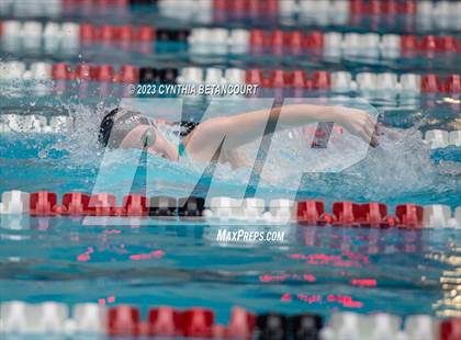 Thumbnail 3 in REX Coaches Invite photogallery.