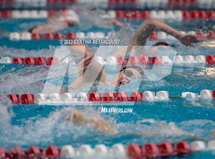 Thumbnail 3 in REX Coaches Invite photogallery.