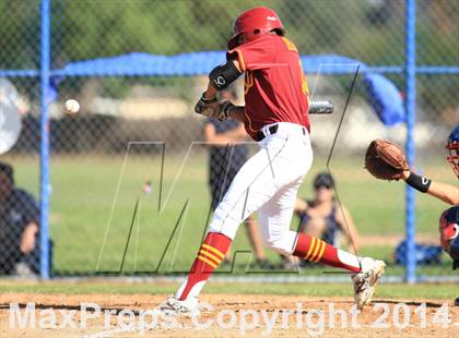 Thumbnail 1 in Wilson @ Los Altos photogallery.