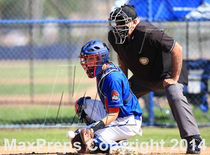 Thumbnail 3 in Wilson @ Los Altos photogallery.