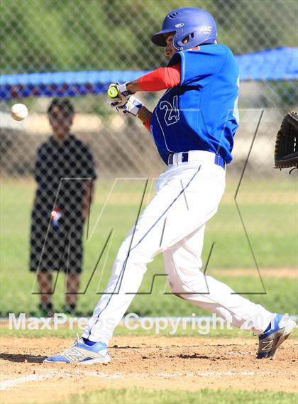 Thumbnail 3 in Wilson @ Los Altos photogallery.