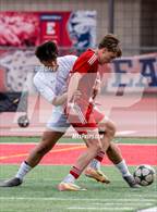 Photo from the gallery "Brighton @ East"