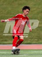 Photo from the gallery "Brighton @ East"