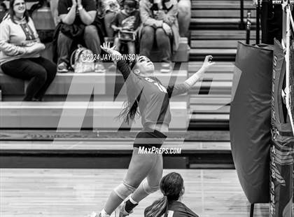Thumbnail 3 in Corvallis @ South Albany photogallery.