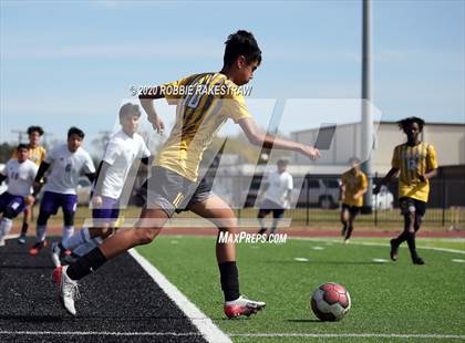 Thumbnail 1 in Farmersville @ Crandall photogallery.