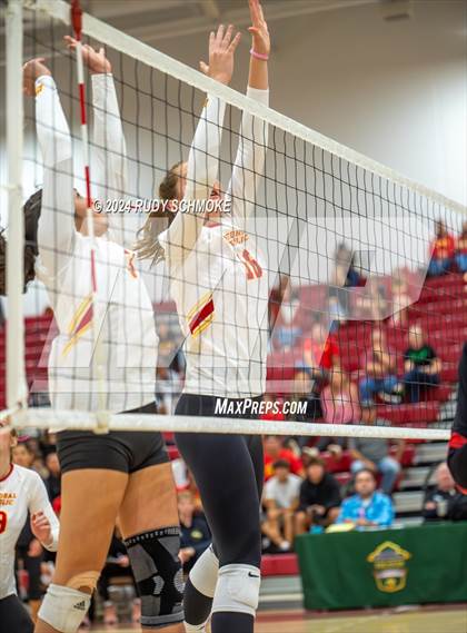 Thumbnail 3 in Cathedral Catholic vs. Torrey Pines (CIF SDS Open Division Final) photogallery.