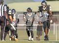 Photo from the gallery "Pine Forest @ Gray's Creek"