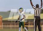 Photo from the gallery "Pine Forest @ Gray's Creek"