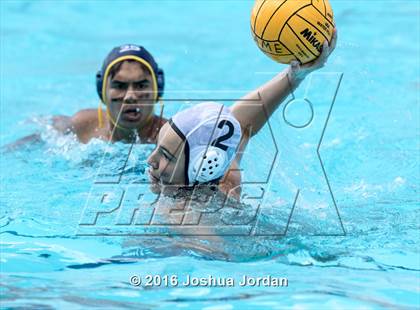 Thumbnail 2 in Alamo Heights vs O'Connor (Alamo Area Aquatics Association Round Robin) photogallery.