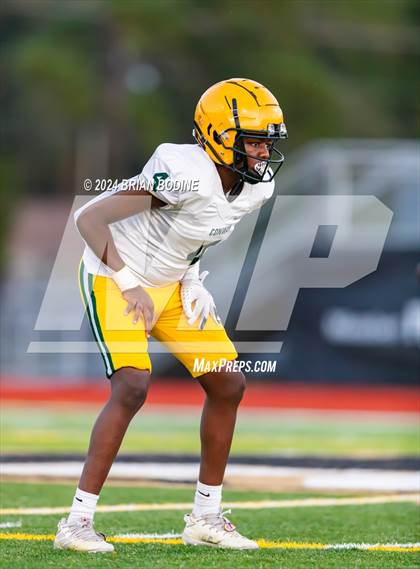 Thumbnail 1 in Conway @ Socastee photogallery.