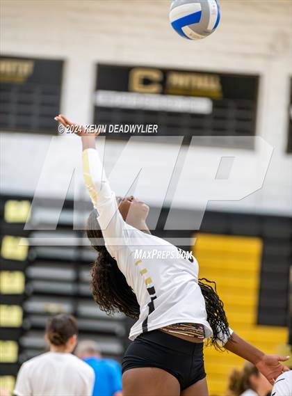 Thumbnail 3 in Louisville @ Calabasas photogallery.
