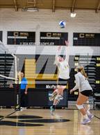 Photo from the gallery "Louisville @ Calabasas"