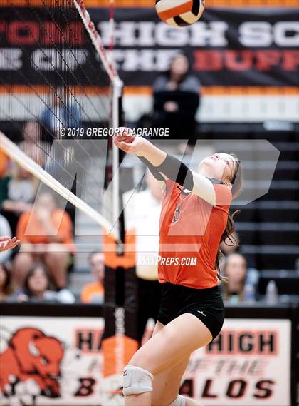 Thumbnail 1 in Bell vs Haltom photogallery.