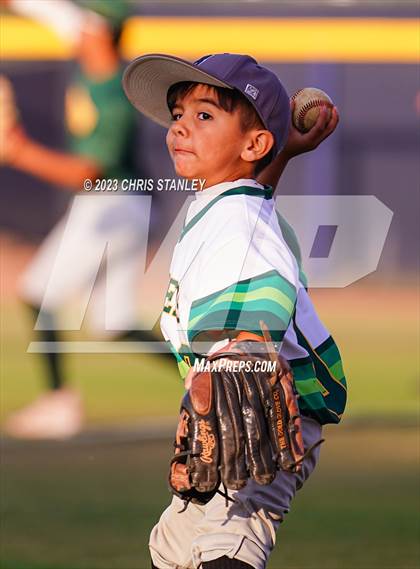Thumbnail 3 in Peoria @ Cactus photogallery.