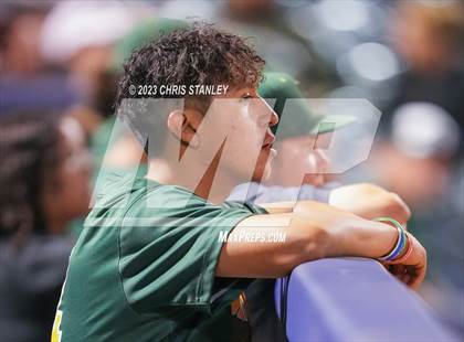 Thumbnail 3 in Peoria @ Cactus photogallery.