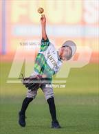 Photo from the gallery "Peoria @ Cactus"