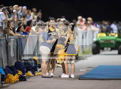 Thumbnail 2 in Seventy-First @ Cape Fear photogallery.
