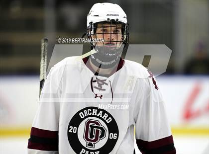 Thumbnail 2 in Orchard Park vs Lock/Nia Falls photogallery.