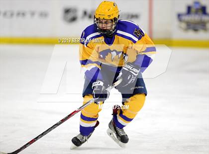 Thumbnail 3 in Orchard Park vs Lock/Nia Falls photogallery.
