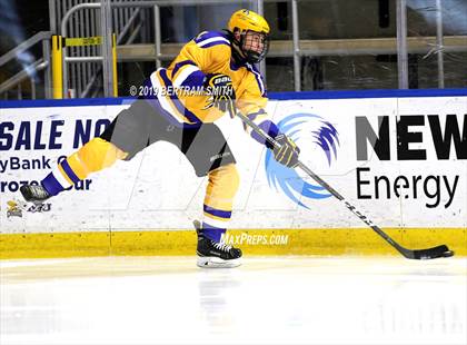 Thumbnail 1 in Orchard Park vs Lock/Nia Falls photogallery.