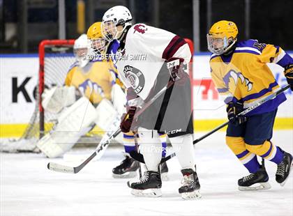 Thumbnail 2 in Orchard Park vs Lock/Nia Falls photogallery.
