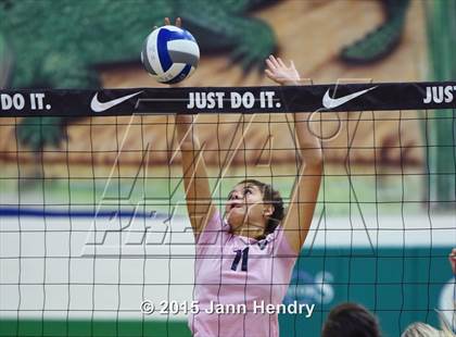Thumbnail 1 in Ponderosa vs. La Costa Canyon (Durango Fall Classic) photogallery.
