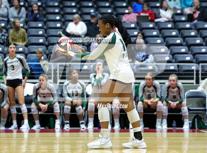 Thumbnail 1 in Grand Oaks vs. Prosper (UIL 6A Volleyball Semifinal) photogallery.