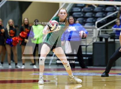 Thumbnail 1 in Grand Oaks vs. Prosper (UIL 6A Volleyball Semifinal) photogallery.
