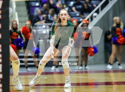 Thumbnail 2 in Grand Oaks vs. Prosper (UIL 6A Volleyball Semifinal) photogallery.