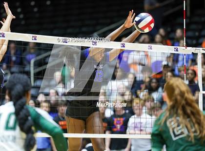 Thumbnail 1 in Grand Oaks vs. Prosper (UIL 6A Volleyball Semifinal) photogallery.