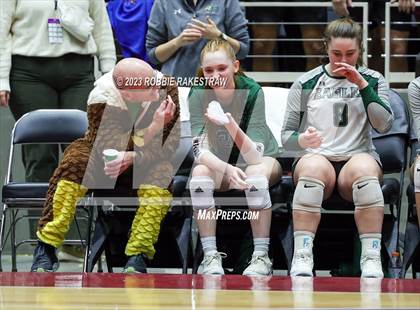 Thumbnail 3 in Grand Oaks vs. Prosper (UIL 6A Volleyball Semifinal) photogallery.