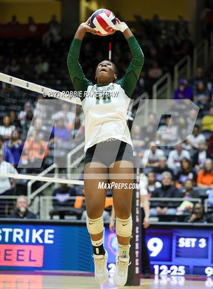 Thumbnail 1 in Grand Oaks vs. Prosper (UIL 6A Volleyball Semifinal) photogallery.