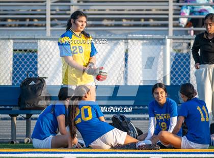 Thumbnail 1 in JV: San Lorenzo @ Newark Memorial photogallery.