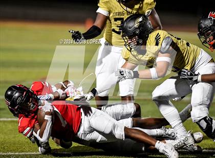 Thumbnail 1 in Citrus Valley @ Etiwanda photogallery.