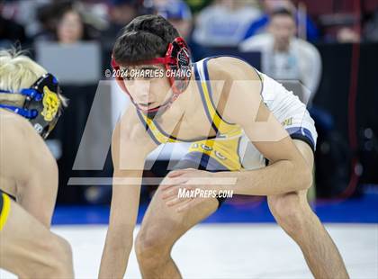 Thumbnail 3 in CIF Boys State Wrestling Championships (Session 3) photogallery.