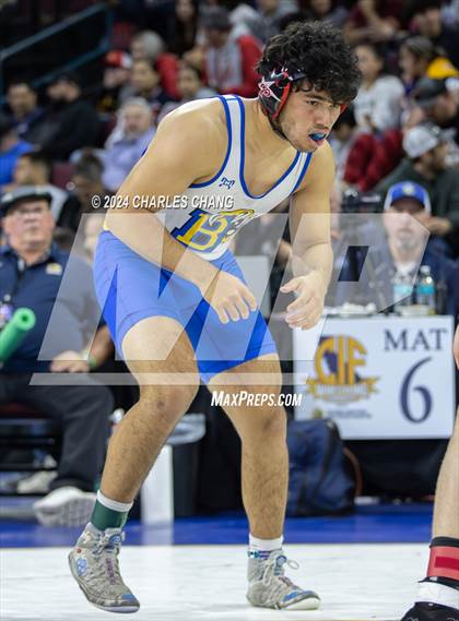Thumbnail 1 in CIF Boys State Wrestling Championships (Session 3) photogallery.
