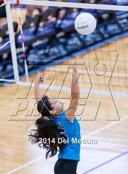 Thumbnail 3 in Venice vs. Gulf Coast (Berkeley Premier) photogallery.