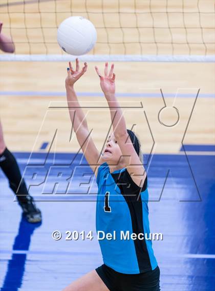 Thumbnail 3 in Venice vs. Gulf Coast (Berkeley Premier) photogallery.