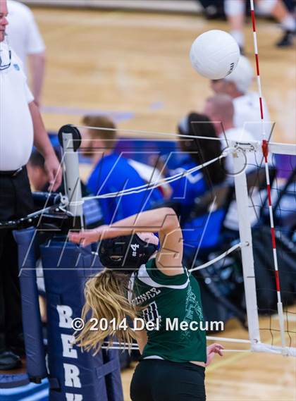 Thumbnail 3 in Venice vs. Gulf Coast (Berkeley Premier) photogallery.