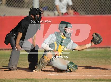 Thumbnail 2 in Canyon del Oro @ Sahuaro photogallery.
