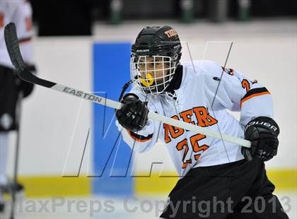 Thumbnail 3 in White Plains vs. Archbishop Stepinac (Tiger Tournament) photogallery.