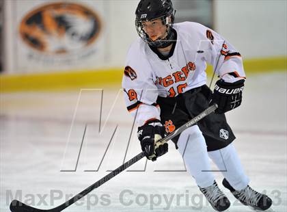 Thumbnail 1 in White Plains vs. Archbishop Stepinac (Tiger Tournament) photogallery.