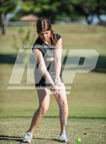 Thumbnail 1 in JV: Greenville Wright Park Invitational photogallery.